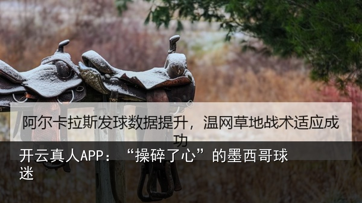 开云真人APP:“操碎了心”的墨西哥球迷