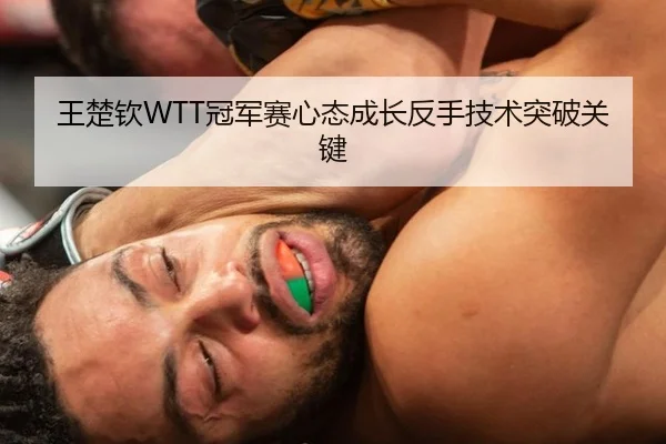 王楚钦WTT冠军赛心态成长反手技术突破关键