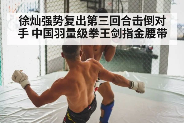 徐灿强势复出第三回合击倒对手 中国羽量级拳王剑指金腰带
